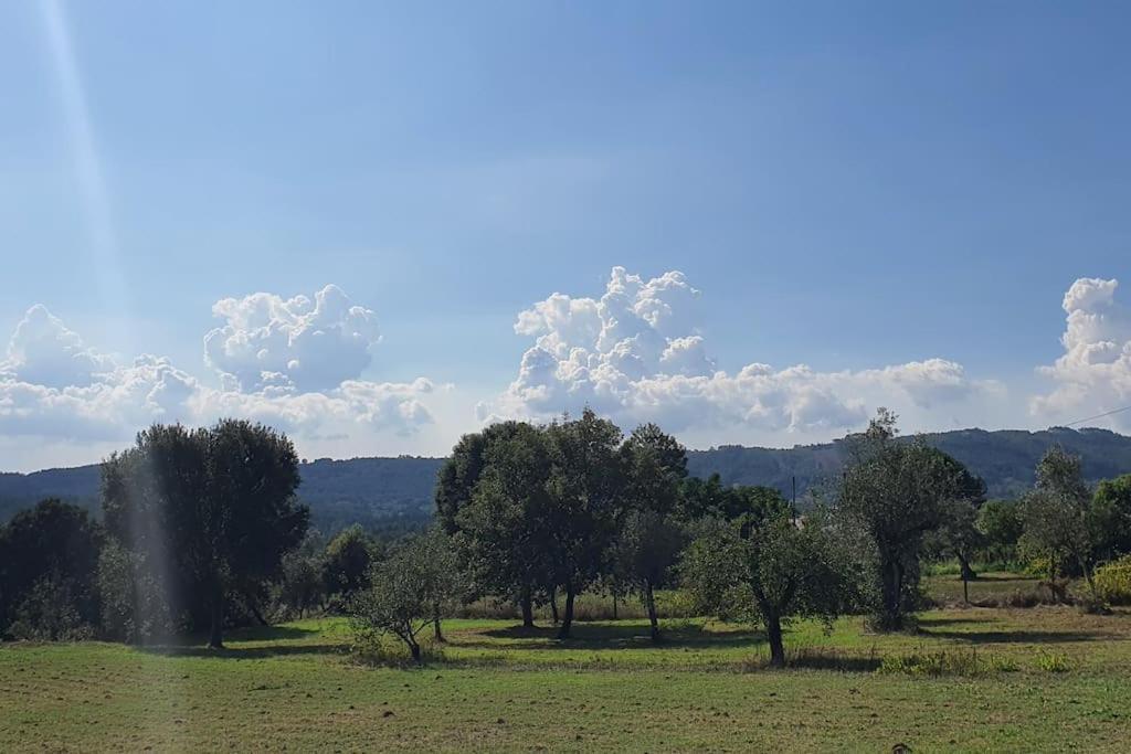 Quinta Flores Ferreira do Zêzere Buitenkant foto