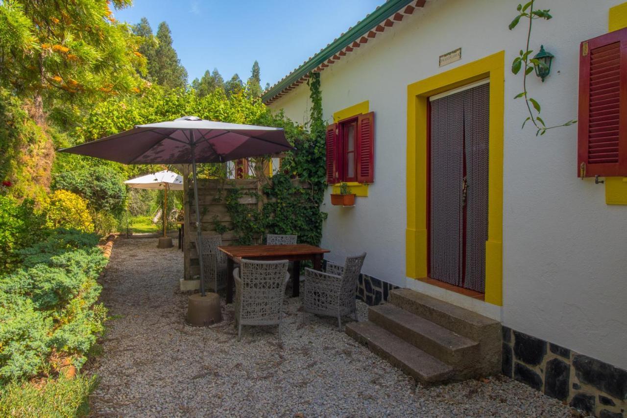 Quinta Flores Ferreira do Zêzere Buitenkant foto
